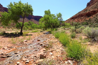 86 8zv. Beaver Creek Canyon hike