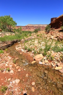 91 8zv. Beaver Creek Canyon hike