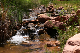 126 8zv. Beaver Creek Canyon hike