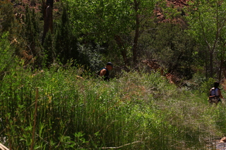 128 8zv. Beaver Creek Canyon hike