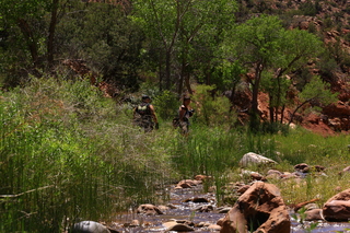 129 8zv. Beaver Creek Canyon hike