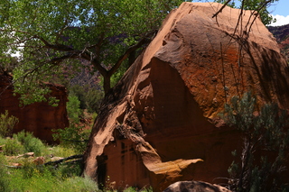 138 8zv. Beaver Creek Canyon hike