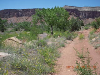153 8zv. Beaver Creek Canyon hike