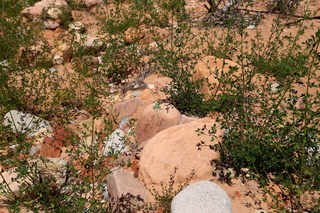 158 8zv. Beaver Creek Canyon hike