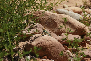 320 8zv. Beaver Creek Canyon hike