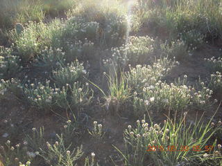 21 8zw. Gateway hike