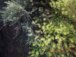 26 8zw. Gateway hike