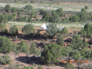 51 8zw. Gateway hike - N8377W