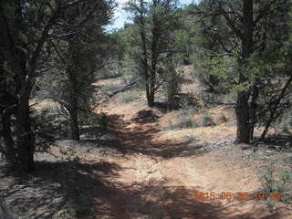 123 8zw. drive to Calamity Mine - very tough side road