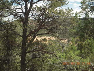 189 8zw. drive to Calamity Mine - very tough side road