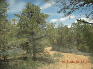 204 8zw. drive to Calamity Mine - very tough side road