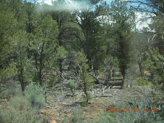 218 8zw. drive to Calamity Mine - very tough side road