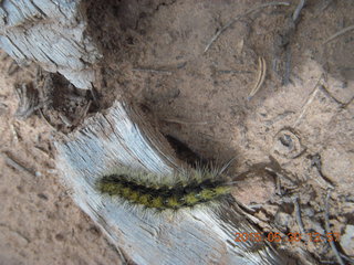 248 8zw. drive to Calamity Mine - caterpillar