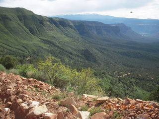 338 8zw. drive from Calamity Mine