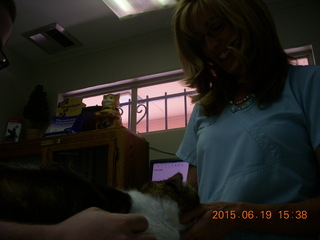 Krista Gibson, DVM, and Penny - (cat)