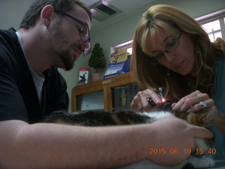 Krista Gibson, DVM, and Penny - (cat)