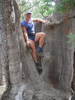 Debbie's and Ted's cabin - hike - Adam in tree