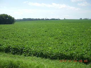 Afton, Minnesota, run - house, field, cows