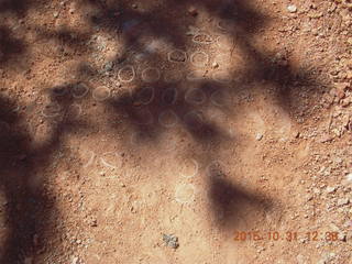 14 94x. Bryce Canyon - Peek-a-Boo loop - funky round things