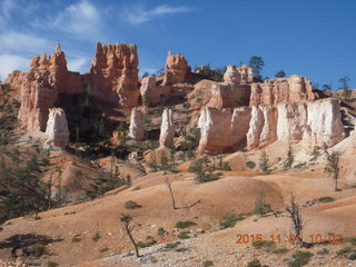 20 951. Bryce Canyon - my chosen hoodoo view