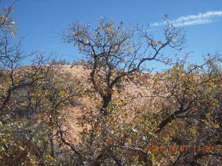 48 951. Coral Pink Sand Dunes State Park