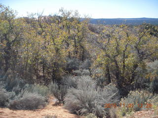 49 951. Coral Pink Sand Dunes State Park