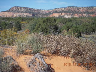 59 951. Coral Pink Sand Dunes State Park