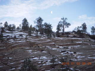 8 972. Zion National Park - Observation Point hike