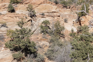 73 972. Zion National Park - Brad's pictures