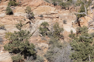 75 972. Zion National Park - Brad's pictures