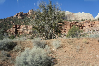 83 972. Zion National Park - Brad's pictures