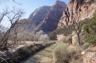 91 972. Zion National Park - Brad's pictures