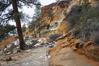166 972. Zion National Park - Brad's pictures - Observation Point hike