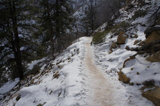 195 972. Zion National Park - Brad's pictures - Observation Point hike