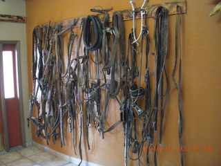 58 973. Thunderbird Restaurant in Mt. Carmel Junction, Utah - whips and chains