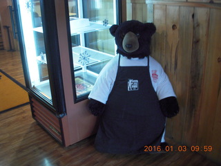 61 973. Thunderbird Restaurant in Mt. Carmel Junction, Utah - bear