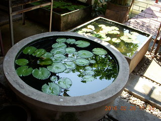 65 98s. Bangkok - Phisit's place