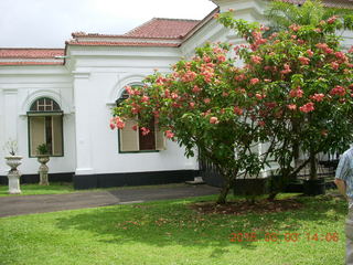 491 993. Indonesia Bogur Botanical Garden