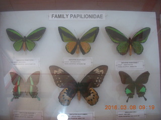 95 998. Indonesia - Bantimurung Water Park museum