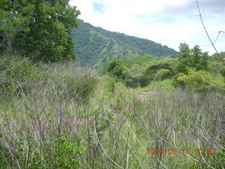 59 99b. Indonesia - Komodo Island