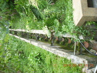 162 99h. Malaysia - Kuala Lumpur - KL Bird Park path