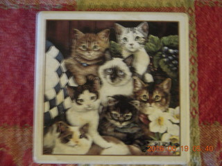 cat coaster