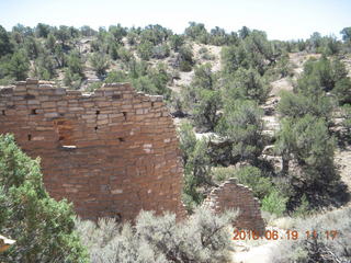 226 9ck. Cutthroat Castle