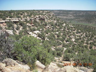 244 9ck. Painted Hand