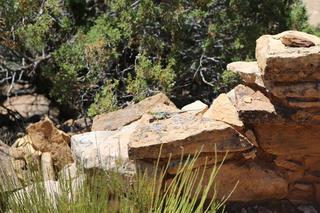 246 9ck. Painted Hand