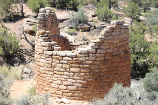 251 9ck. Painted Hand