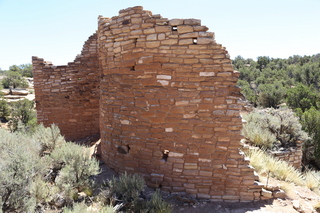 252 9ck. Painted Hand