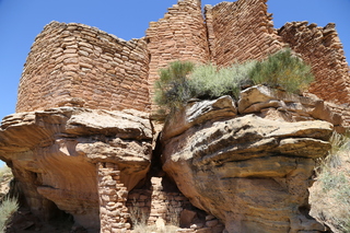 256 9ck. Painted Hand