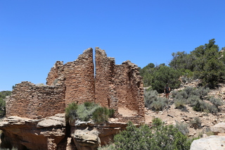 286 9ck. Painted Hand