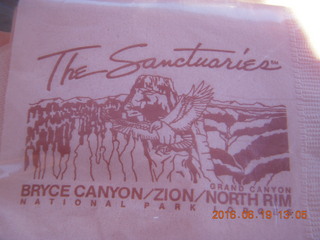 299 9ck. picnic napkins